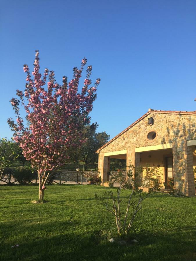 Agriturismo Podere Micitto Usi Exterior photo